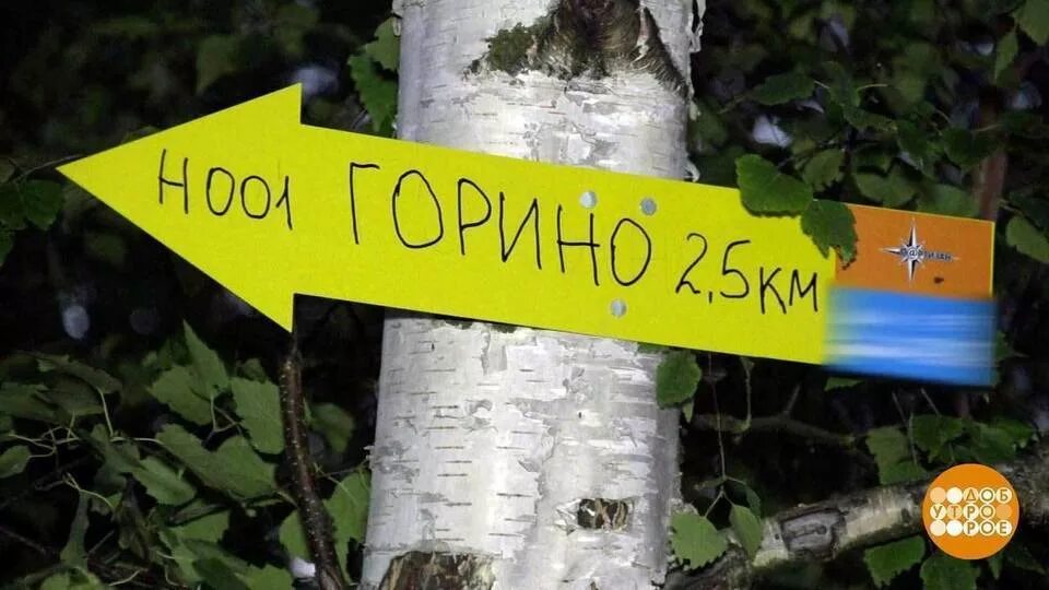 Доброе утро фрагмент выпуска