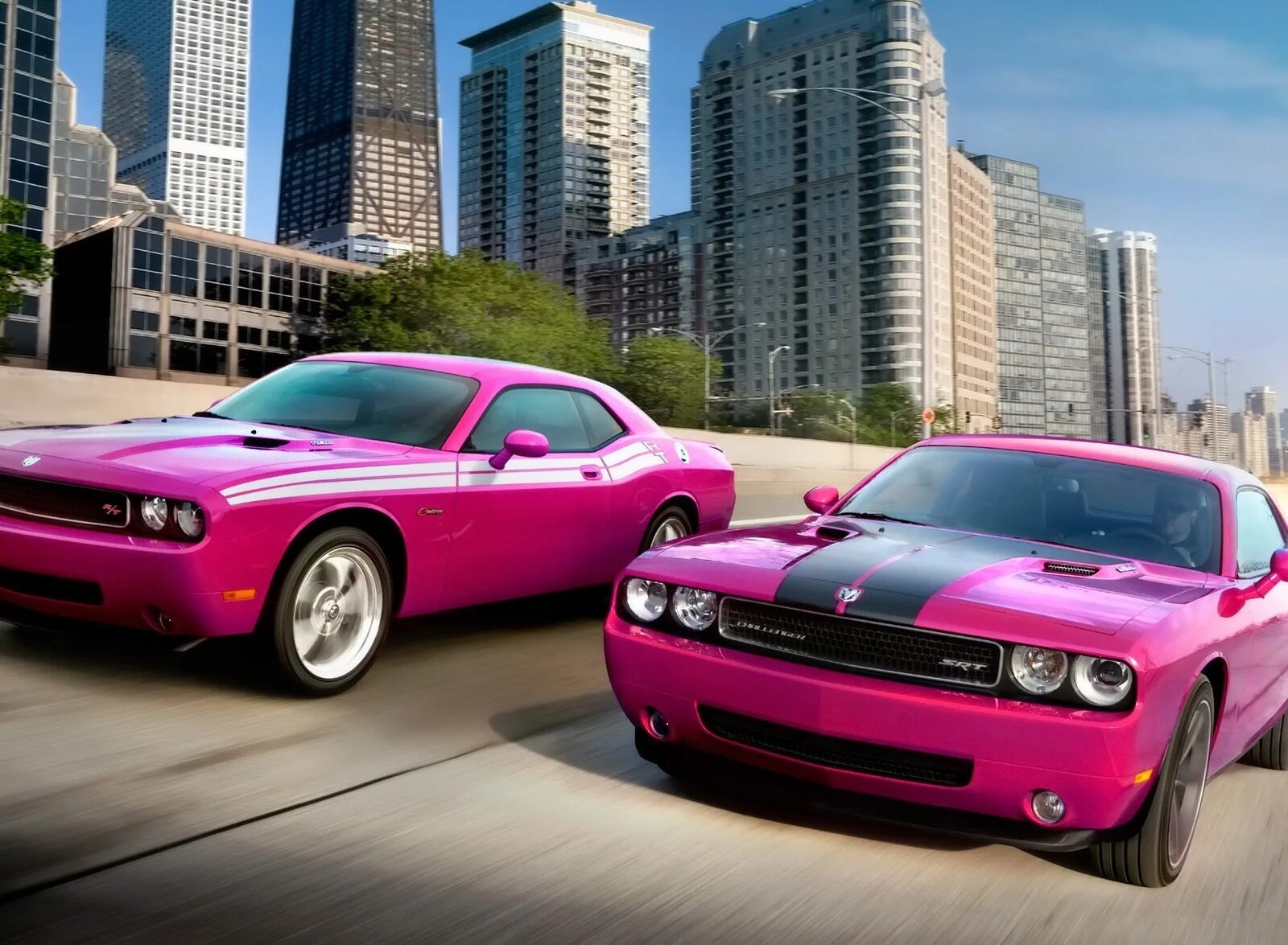 Фото Dodge Challenger, подборка фотографий Додж Челленджер - фотоальбом автомоби