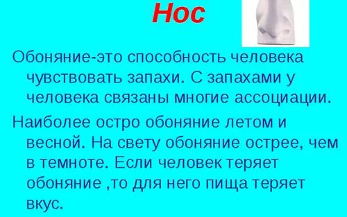 Значит воняешь. Обоняние доклад. Удивительные факты о Носе. Интересные факты об обонянии человека. Информация о Носе человека.