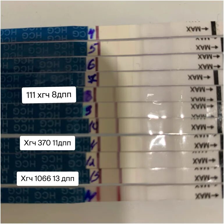 9 дпп тесты форум. Тест на 4 ДПП В криопротоколе. Тест 8 ДПП пятидневок и ХГЧ. ХГЧ С 8дпп и тесты. ХГЧ на 6 ДПП пятидневок крио.