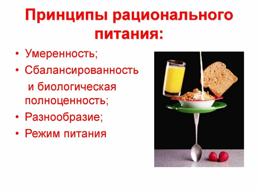 Назовите основной принцип рационального питания. Назовите основной принцип рационального питания