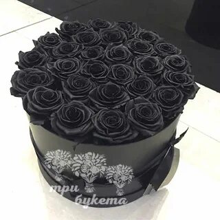 Любители черного цвета