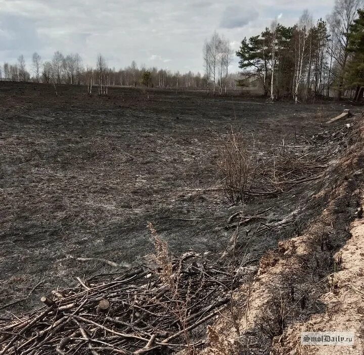 Деревня пал. Пал травы. Огни деревни поле. Опасность пала сухой травы. Пожар 10 апреля Смоленск.