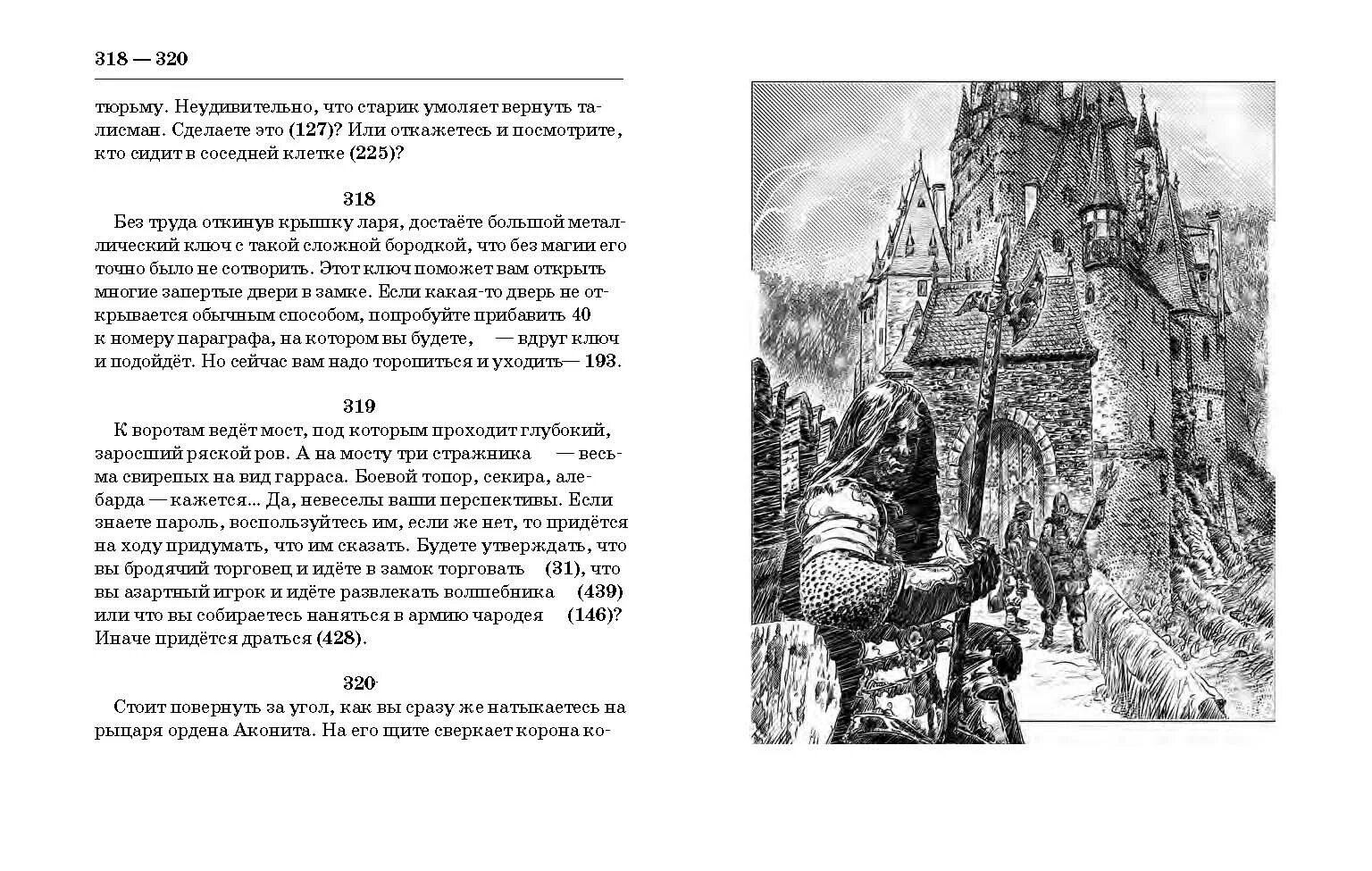 Книга подземелья черного замка. Подземелья чёрного замка книга.