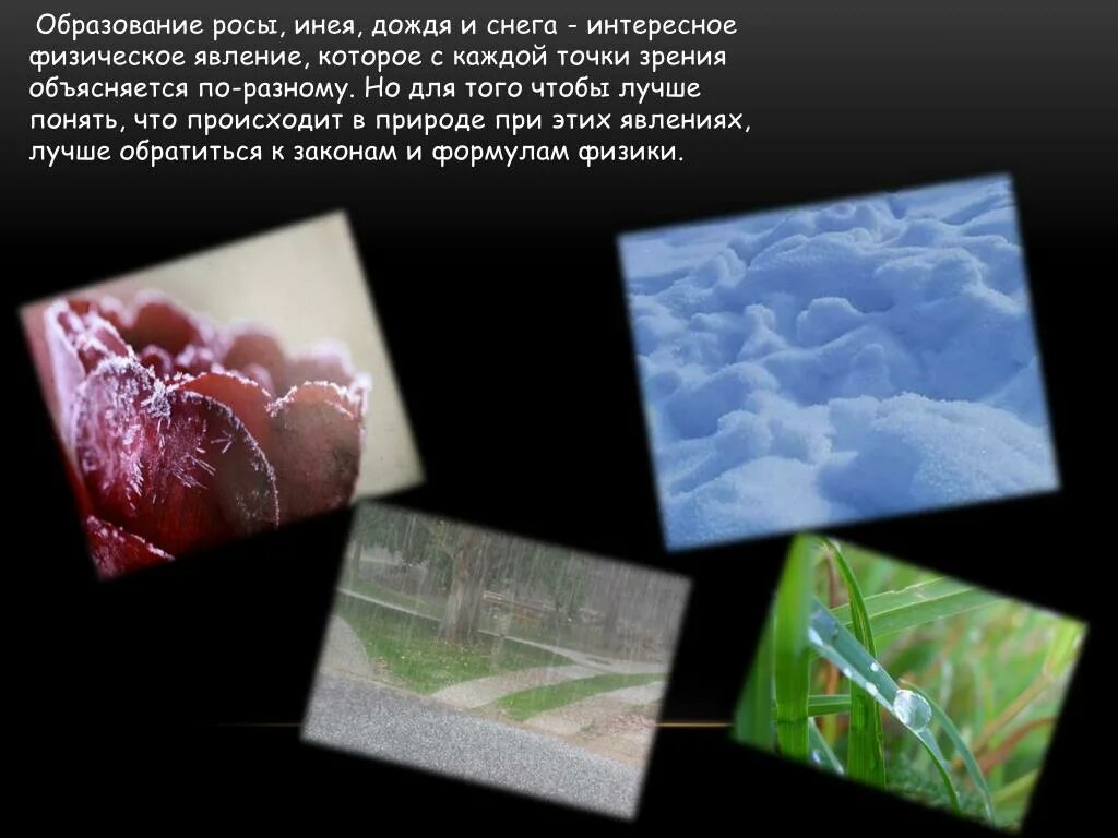 Явление с точки зрения физики. Роса и иней. Иней для презентации. Презентация на тему роса. Сообщение о росе.