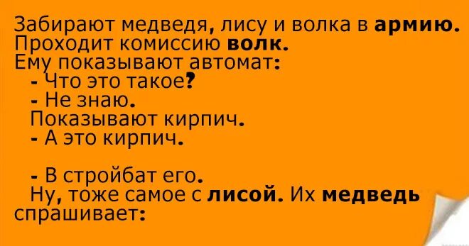 Анекдоты про лису. Анекдот про лису и волка. Анекдоты про лису детские. Смешные анекдоты про лису и волка. Анекдот лиса волка