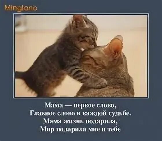 Мама первое слово в каждой судьбе текст. Мама главное слово в каждой судьбе. Картинка мама первое слово главное слово в каждой судьбе. Мама каждое слово в каждой судьбе. Мама лучшее слово главное слово в каждой судьбе.