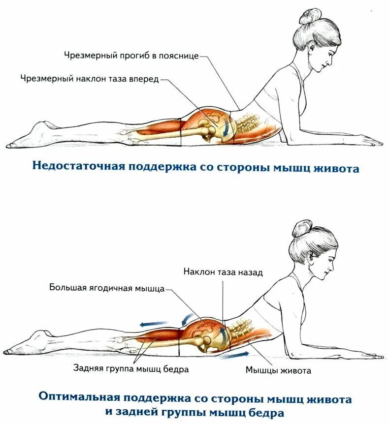 Упражнения на спину лежа на животе. Разгибание позвоночника лежа на животе упражнения. Упражнения для мышц поясницы лежа на животе. Упражнения для укрепления мышц спины и позвоночника. Упражнения на спину.
