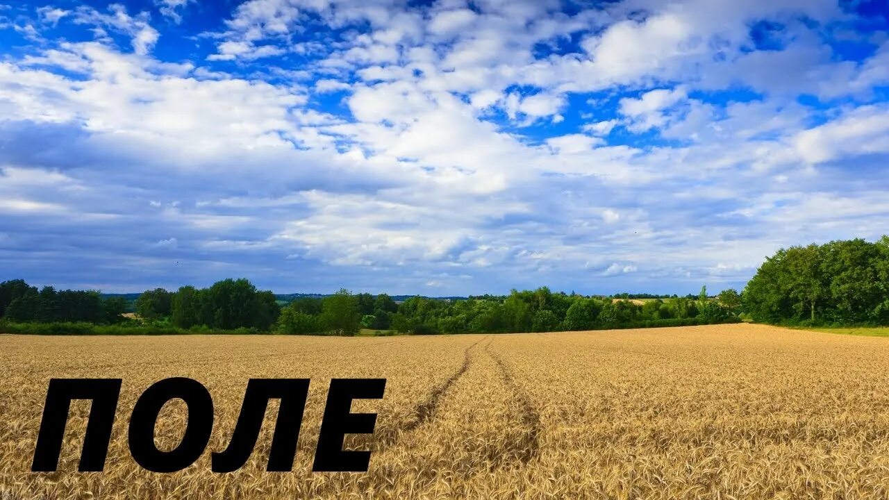 Сонник снов. Сонник землю видеть. Толкование снов поле. Сонник-толкование снов картинки. Степь ночью.