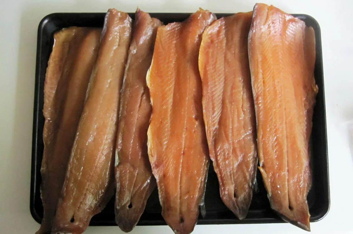 Форель филе холодного копчения. Рыба осетрина горячего копчения. Филе горячего копчения. Сом балык холодного копчения. Кальмар горячего копчения.