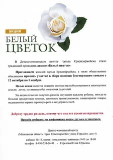 Белые цветы текст