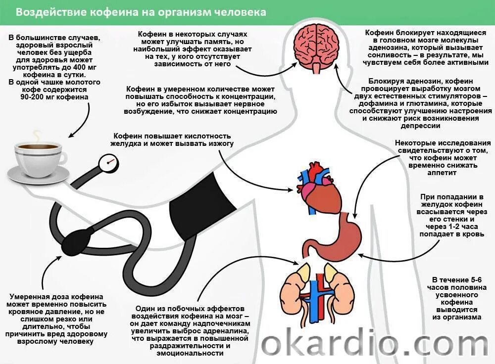 Кофе повышает давление или понижает давление у человека. Влияние кофеина на организм человека. Влияние кофе на организм. Влияние кофе на организм человека.