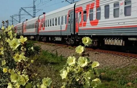 Прямой поезд мурманск