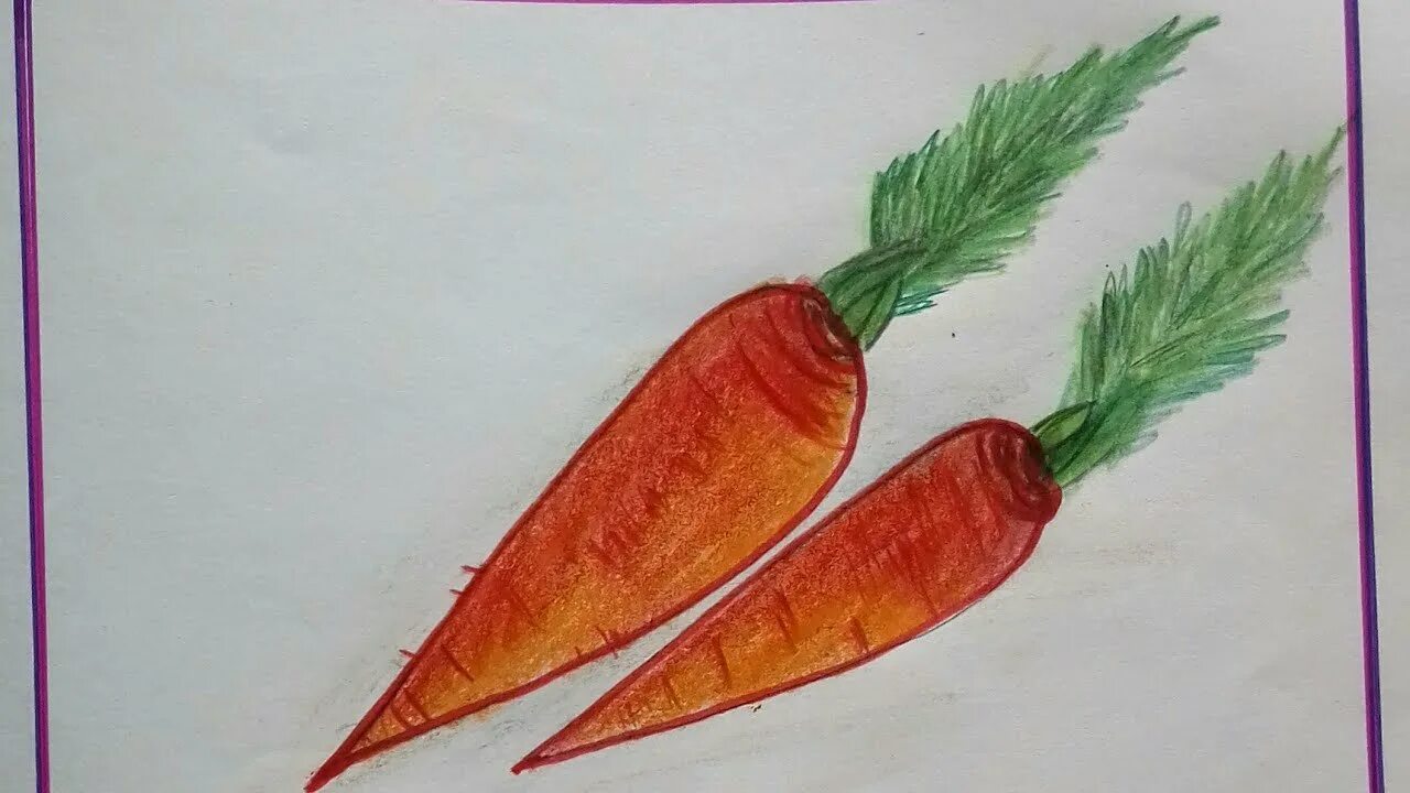 Морковь группа растений. Морковка рисунок. Морковка для рисования. Морковки для ДОУ. Морковь детский рисунок.
