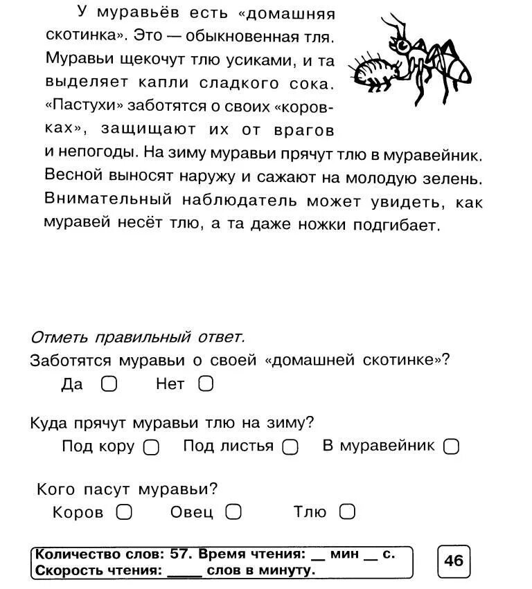 Познавательные тексты для детей. Блицконтроль скорости чтения 1 класс. Текст для чтения 2 класс с вопросами. Текст на скорость чтения. Задания на понимание текста.