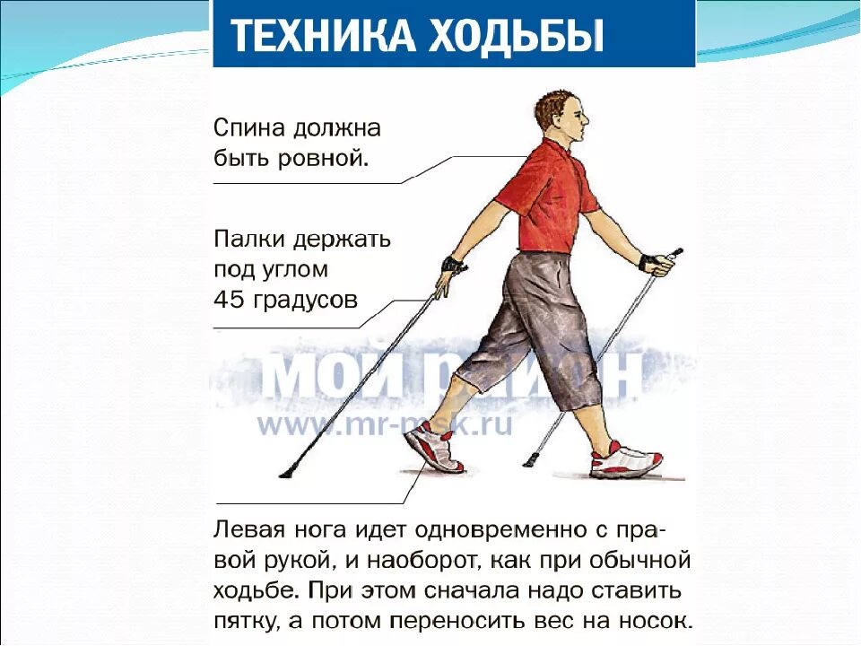 Техника скандинавской ходьбы. Скандинавская ходьба с палками приколы. Скандинавская ходьба польза. Шутки про скандинавскую ходьбу. Шагай техника