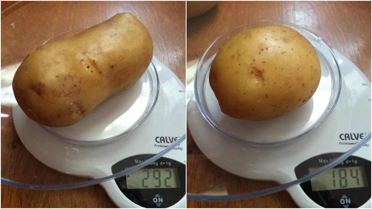 Вес 1 картофеля