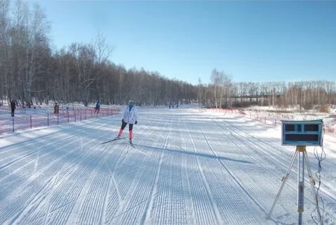 Строительство лыжной трассы