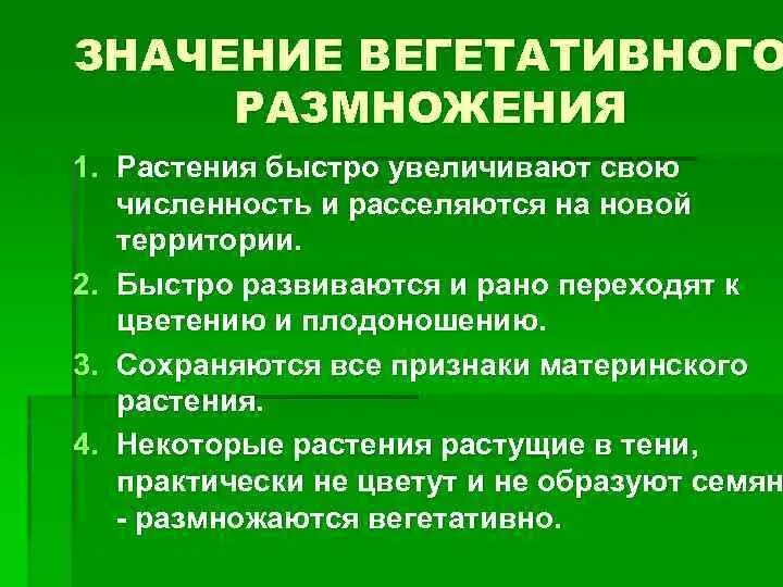 Рисунок вегетативного размножения