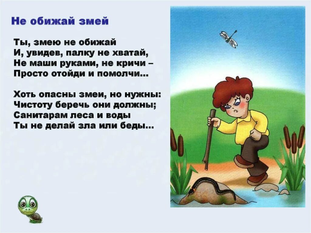 На воде и в лесу ответы. Грибы 1 класс окружающий мир. Грибы 4 класс окружающий мир. Правила поведенив лесу. На воде и в лесу ответы.