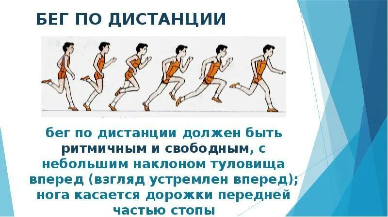 Фазы длинной дистанции. Бег на короткие дистанции в школе. техника выполнения бега на длинные дистанции. техника бега на короткие дистанции. фазы бега на длинные дистанции.
