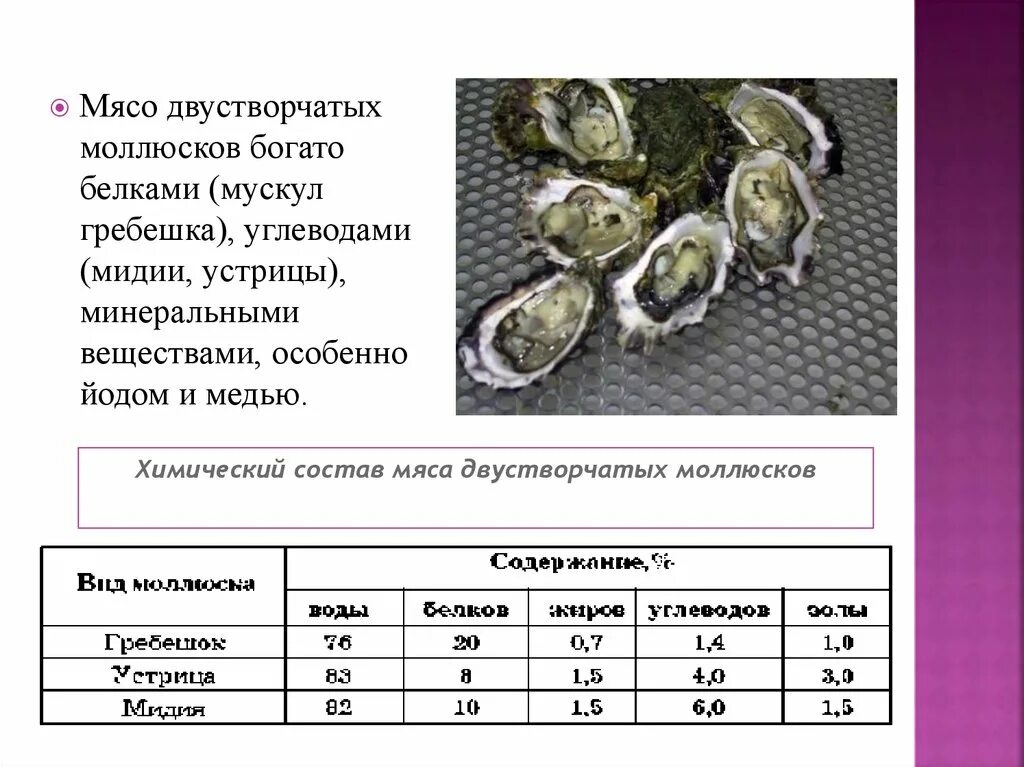 Сколько мидий можно. Пищевая ценность устриц. Устрицы БЖУ. Устрицы состав. Пищевая ценность двустворчатых моллюсков.