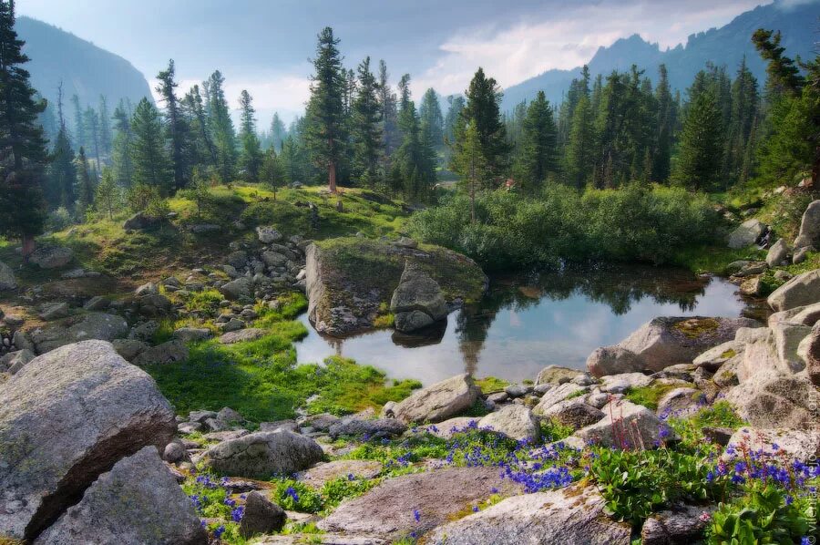 Региональный природный парк. Национальный парк Ергаки Красноярский край. Хакасия заповедник Ергаки. Красноярск природный парк «Ергаки». Ергаки восточные Саяны.