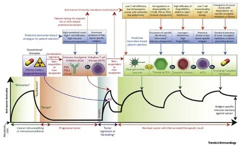 Cancer therapy