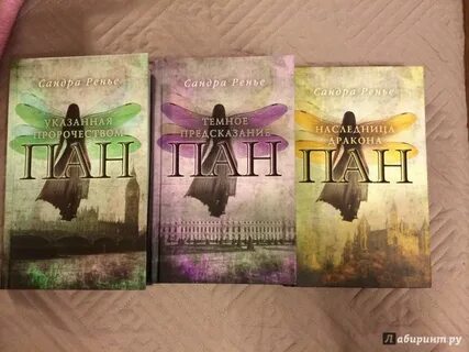 Читать книгу пан