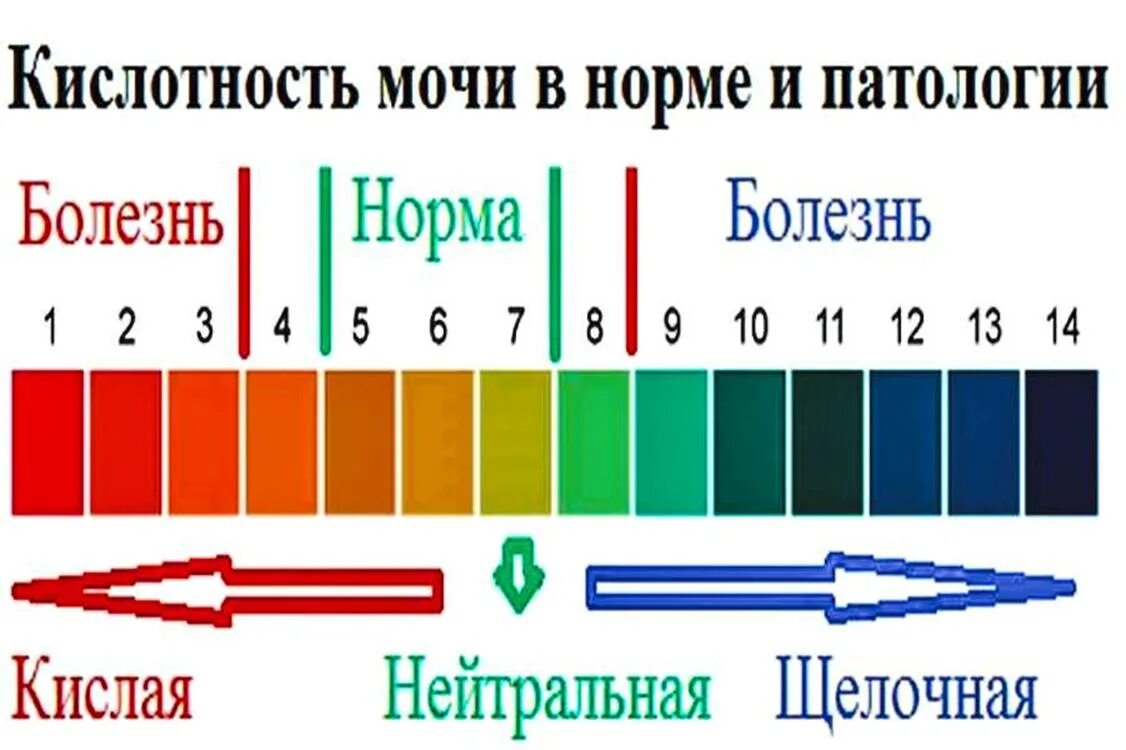 Норма кислотно