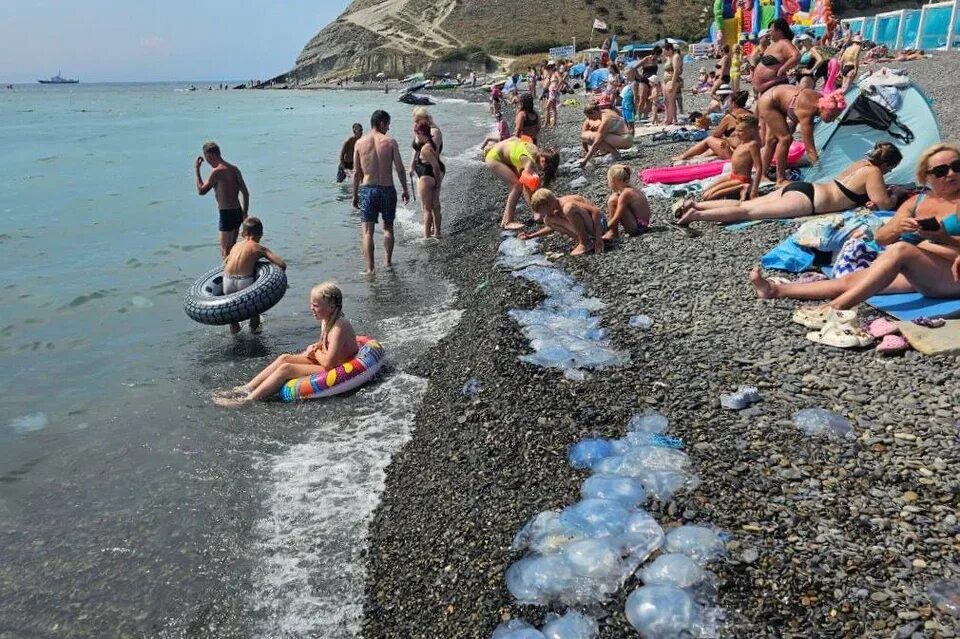 Опасно ли ехать на море в 2024. Пляж. Черное море пляж люди. Пляж фото. Отдыхают на море черное.