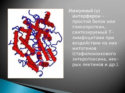 Интерферон гамма это