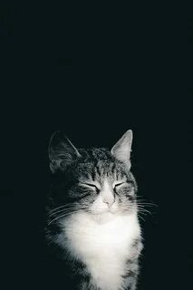 Is done for living