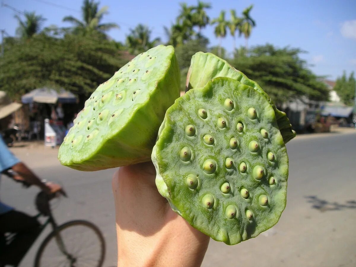 25 Exotic Asian Fruits to Try on Your Next Trip to the Region or Grocer Fruit, E
