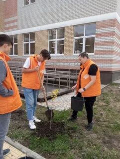 Новороссийское лесничество