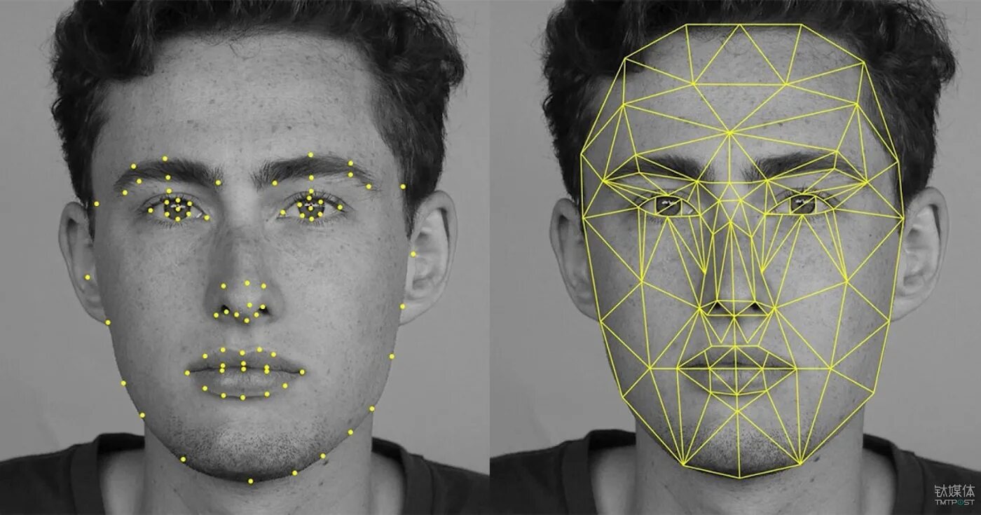 3d ai. Технология распознавания лиц. Идентификация по лицу. Геометрия лица. Raspoznavaniye obrazov iskustvenniy intelekta.