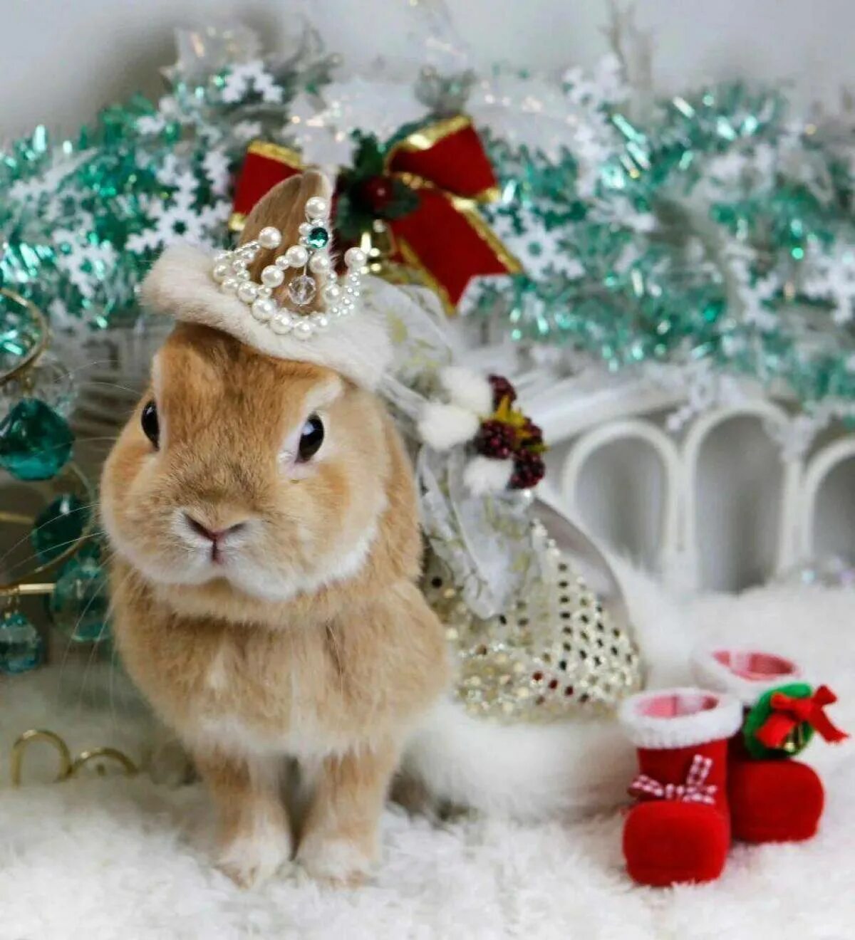 Новогодние животные. Новогодний кролик. Новогодний заяц. Зайчик новый год.