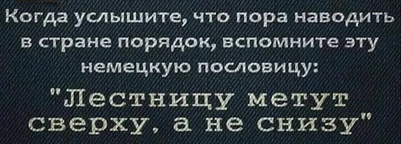 Пора навел. Рыба гниет с головы цитаты. Лестницу метут сверху а не снизу. Рыба гниёт с головы пословица. Рыба гниет с головы.