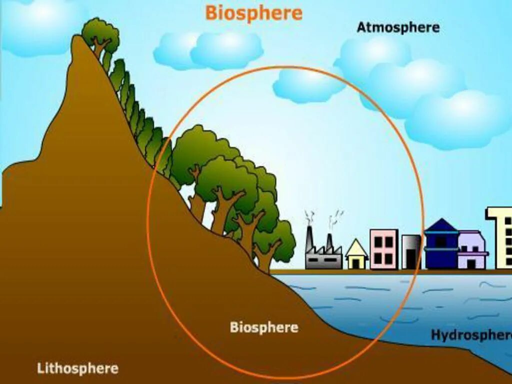 Рисунок человек часть биосферы. Биосфера. Биосфера рисунок. Атмосфера гидросфера литосфера. Рисунок на тему литосфера и человек.