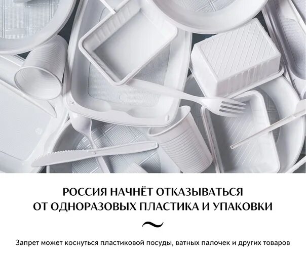 Допускается одноразовая посуда в школе. Допускается одноразовая посуда в школе