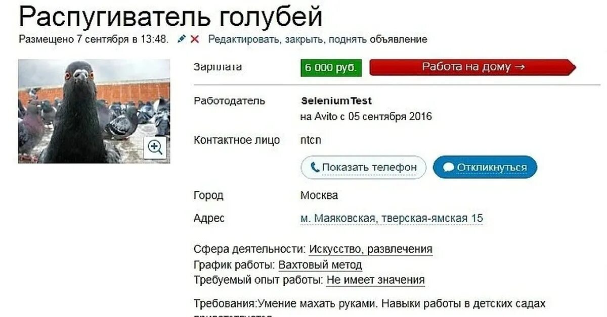 Найти объявления ищу работу