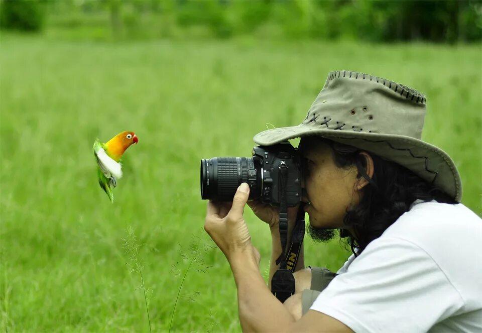 Taking bird. Фотографирование птиц. Птица с фотоаппаратом. Фотоаппарат с птичкой. Человек фотографирует птицу.