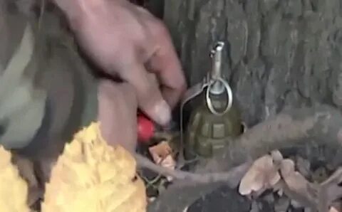 Растяжка в лесу с гранатой
