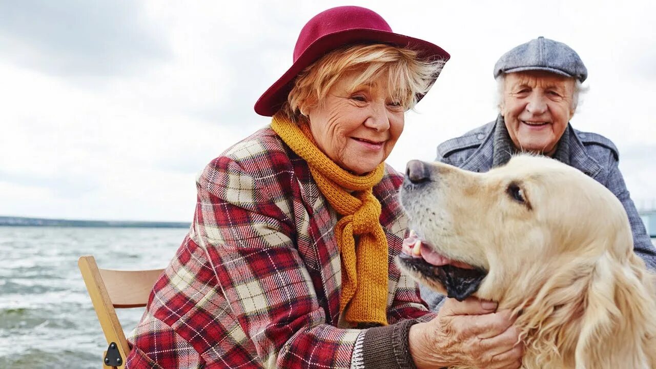 Пенсионеры по выслуге. Пожилые люди и животные. Пенсионеры и животные. Пенсионеры с животными. Пенсионер с собакой.
