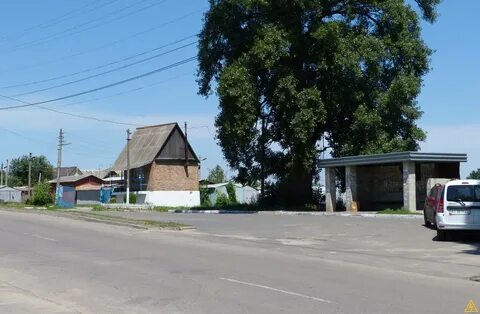 Васильков сейчас