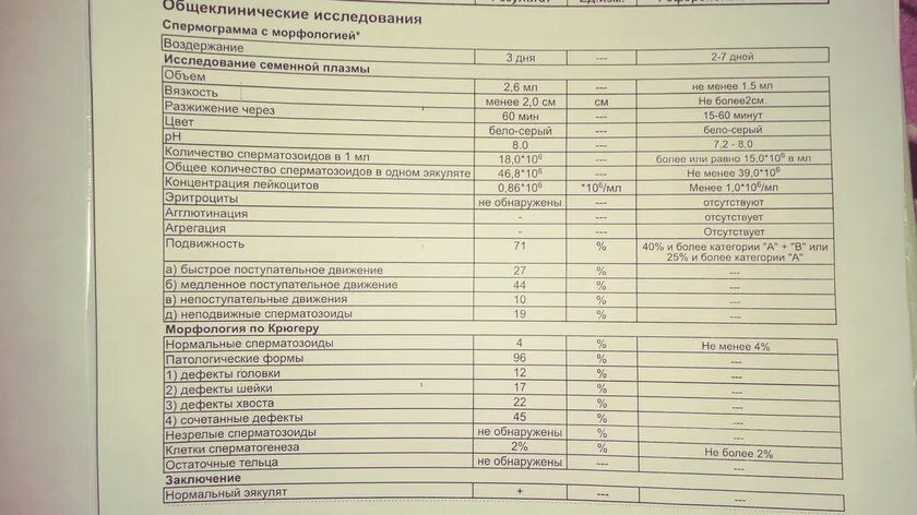 Через сколько готова спермограмма. Биохимия спермограмма. спермограмма анализ. патологическая спермограмма. спермограмма направление.