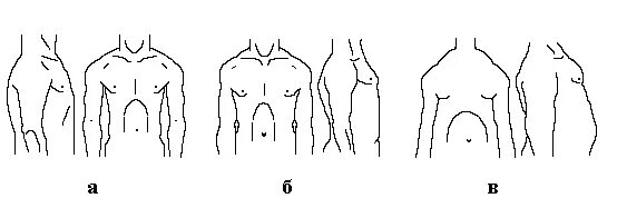 У спортсменов чаще наблюдается форма грудной клетки. Уплощенная форма грудной клетки. формы грудной клетки коническая цилиндрическая уплощённая. 2. форма грудной клетки уплощенная цилиндрическая коническая.. кубовидная форма грудной клетки.