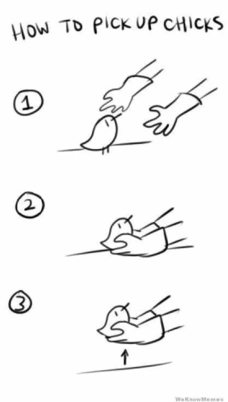 Go to pick up. How to pick up chicks. как подцепить. how to pick up chicks мем. pick up chickens.