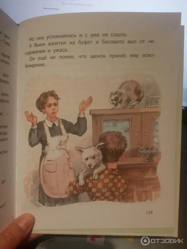 Белый щенок ищет хозяина. В крапивина белый щенок ищет хозяина. В крапивина белый щенок ищет хозяина. Иллюстрации к белый щенок ищет хозяина крапивин. Книга белый щенок ищет хозяина.