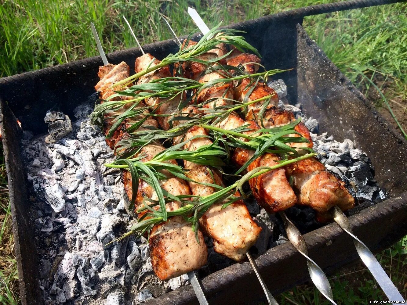 Можно ли шашлык в лесу. Шашлык. Шашлыки на даче. Шашлычок на природе. Мангал на природе.